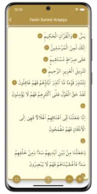 Yasin Suresi android App screenshot 2