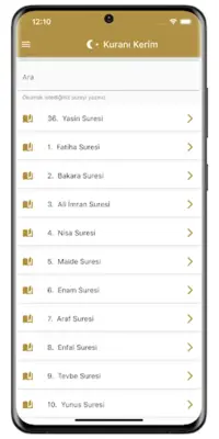 Yasin Suresi android App screenshot 4